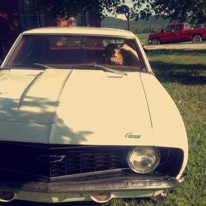 Meet your Posher, Isaac